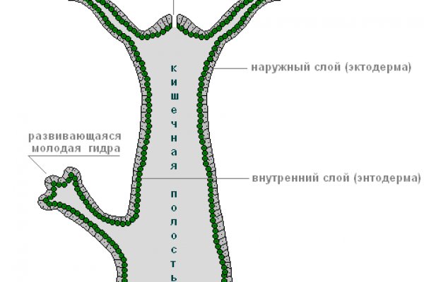 Кракен найдется все