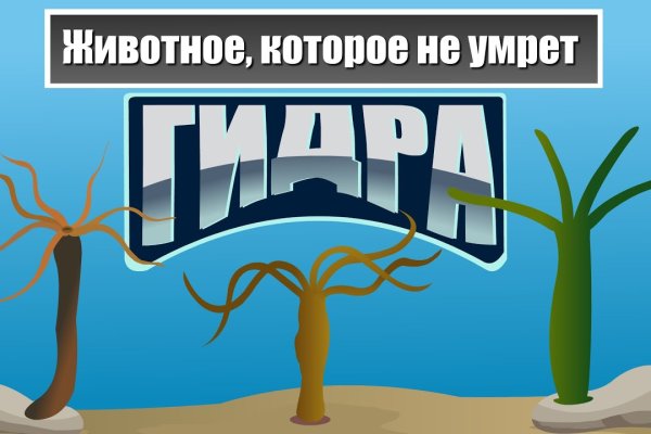 Гидра в даркнете