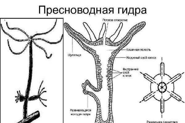 Kraken официальный сайт вход